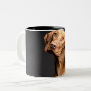 Pet Brown Beagle Dog Two-Tone Coffee Mug