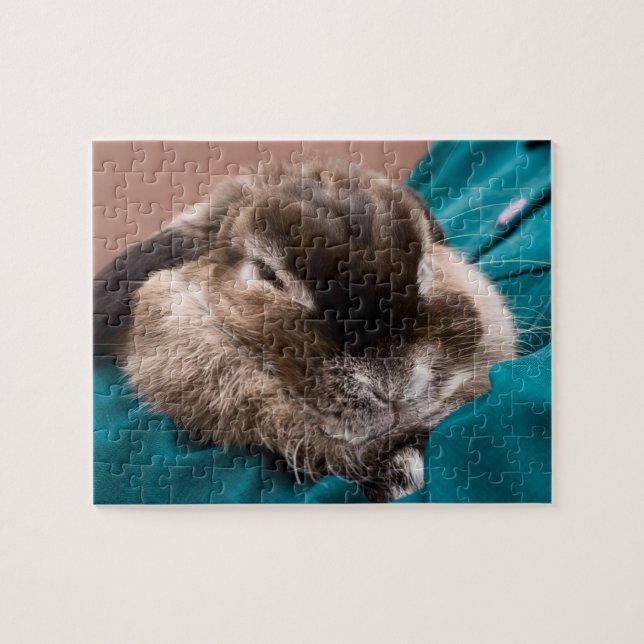 Pet Bunny Jigsaw Puzzle (Horizontal)