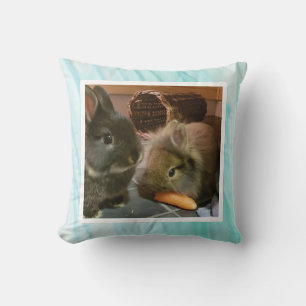 Pet bunny photo -light green cushion