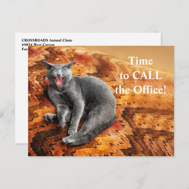 Pet Business Cat Appointment Reminder Postcard (Front/Back)