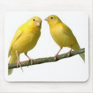 Pet Canary Bird Merchandise Mouse Pad