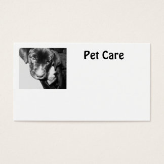Pet Care