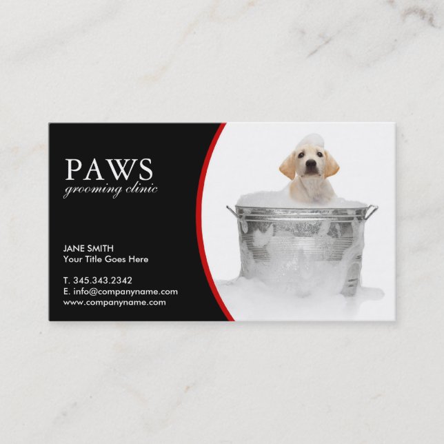 Pet Care Business Cards (Front)