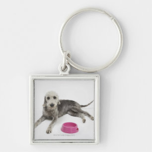 Pet care, health and nutrition for domestic pets key ring