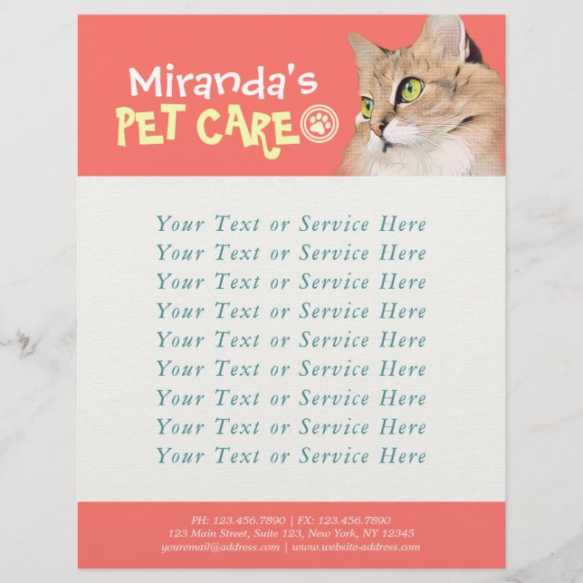 Pet Care Sitting Bathing and Grooming Beauty Salon Flyer (Front)