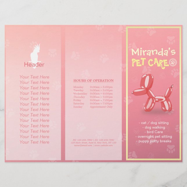 Pet Care Sitting Grooming Salon Tri-Fold Brochures (Front)