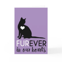 Pet Cat Condolence | Furever In Our Hearts
