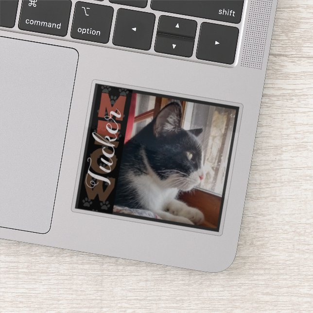 Pet Cat Custom Name and Photo (Detail)