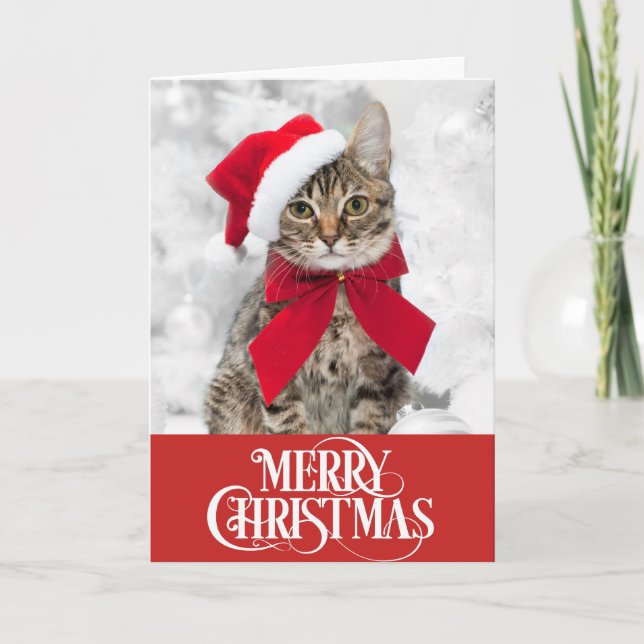 Pet Cat Dog Christmas Card (Front)
