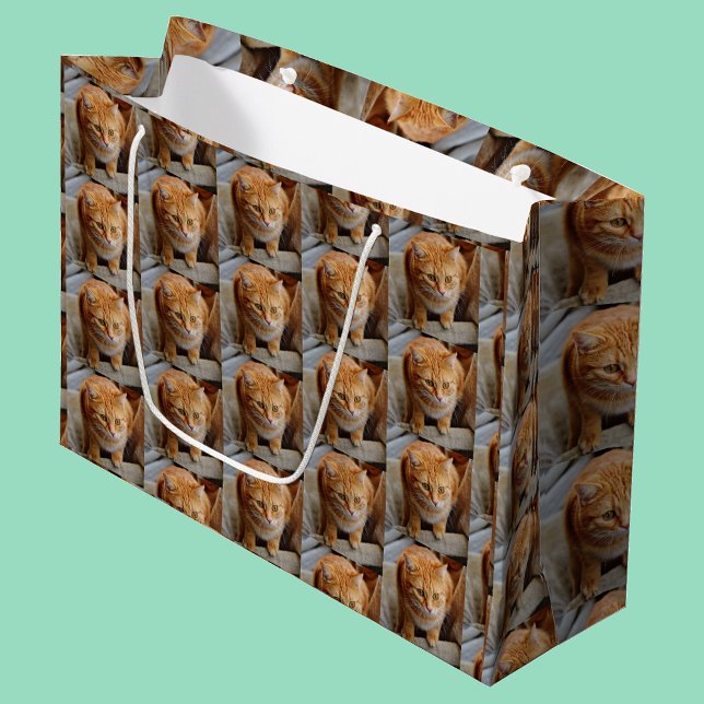 Pet Cat Dog Photo Personalise Custom Large Gift Bag (Creator Uploaded)