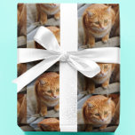 Pet Cat Dog Photo Personalise Custom Wrapping Paper<br><div class="desc">This design may be personalised by choosing the Edit Design option. You may also transfer onto other items. Contact me at colorflowcreations@gmail.com or use the chat option at the top of the page if you wish to have this design on another product or need assistance. See more of my designs...</div>