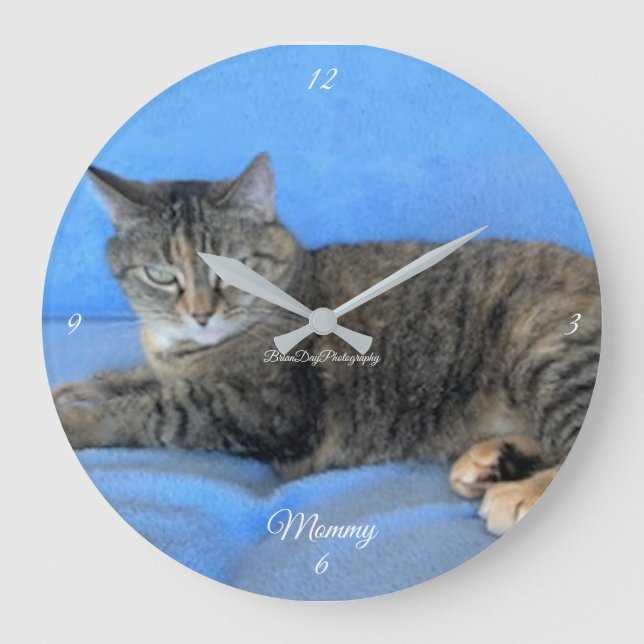 pet cat feline warm love baby large clock (Front)