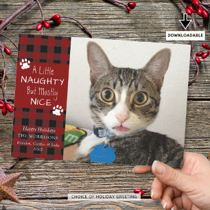 Pet Cat Naughty Nice Red Black Plaid Holiday Card