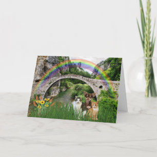 Pet Cat or Dog Rainbow Bridge Condolence Sympathy Holiday Card