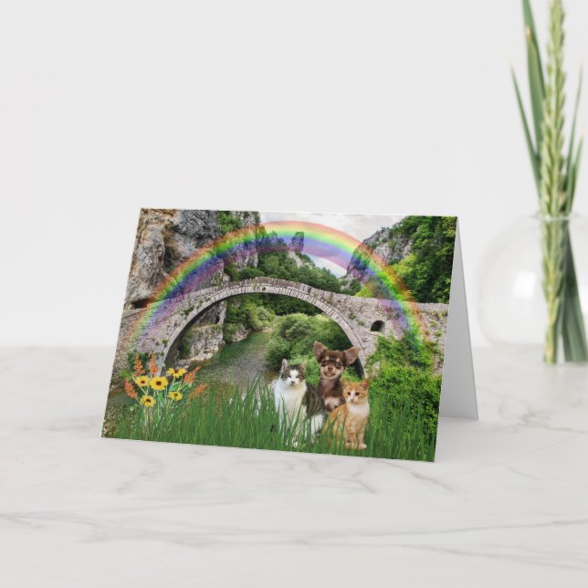 Pet Cat or Dog Rainbow Bridge Condolence  Sympathy Holiday Card (Front)
