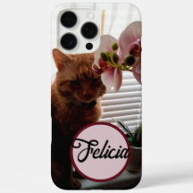 Pet Cat Photo and Custom Name