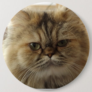 PET CAT PHOTO BUTTON CUSTOM LARGE
