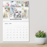 Pet Cat Photo Collage Calendar