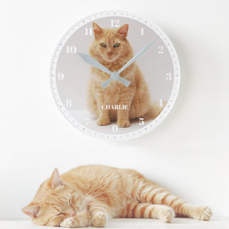 Pet Cat Photo Custom Name and Numbers White & Grey Round Clock