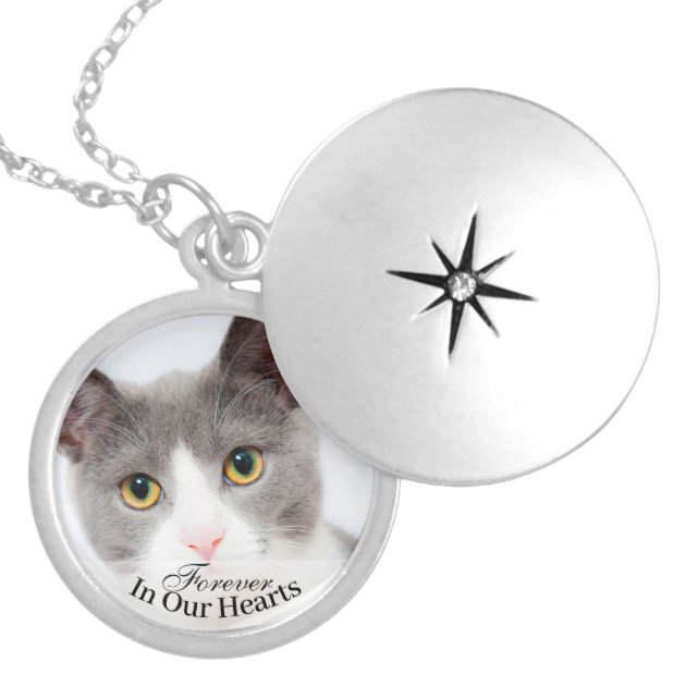 pet locket cat