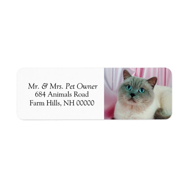 Pet Cat Return Address Labels Stickers (Front)