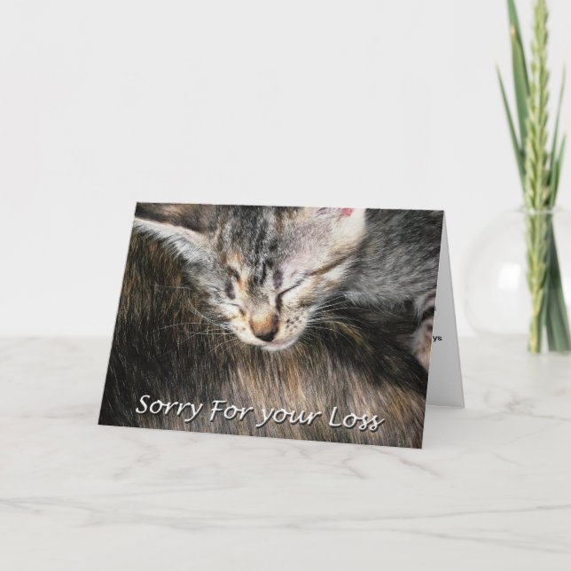 Pet Cat Sympathy Card, Loss Of Cat Card (Front)