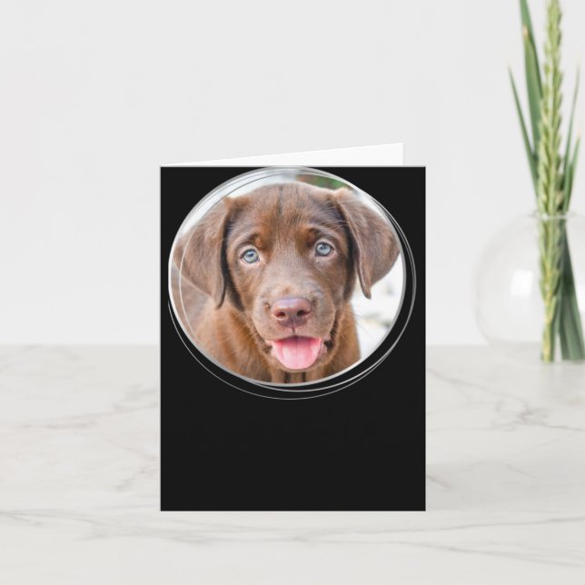 Pet Christmas D Dog Photo Holiday T Shirt  Card (Front)