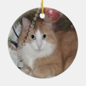 Pet Christmas ornament (Back)