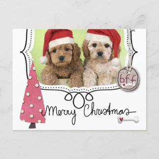 Pet Christmas Photo Card