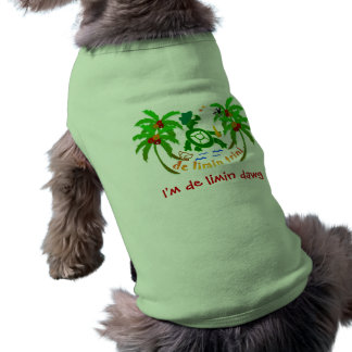 Pet clothes, Clothes for pets