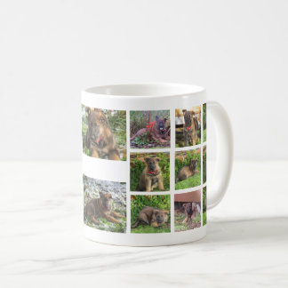 Pet Collage Photo Mug (custom)