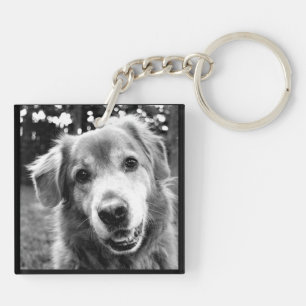Pet Collection - The Many Faces of Dogs Key Ring