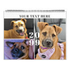 Pet Custom Photo Collage 4 Per Month