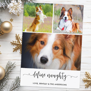 Pet Define Naughty Dog Photo Collage Christmas  Holiday Card