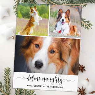 Pet Define Naughty Dog Photo Collage Christmas  Holiday Postcard