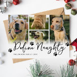 Pet Define Naughty Multi Photo Christmas Holiday Card<br><div class="desc">Take the time this year to create a funny family Christmas card. Featuring a minimalist white background, the humourous saying 'define naughty', paw prints, a 4-photo template that allows you to replace the labrador photos with your own special memories, your family name, and year. There is also a message that...</div>