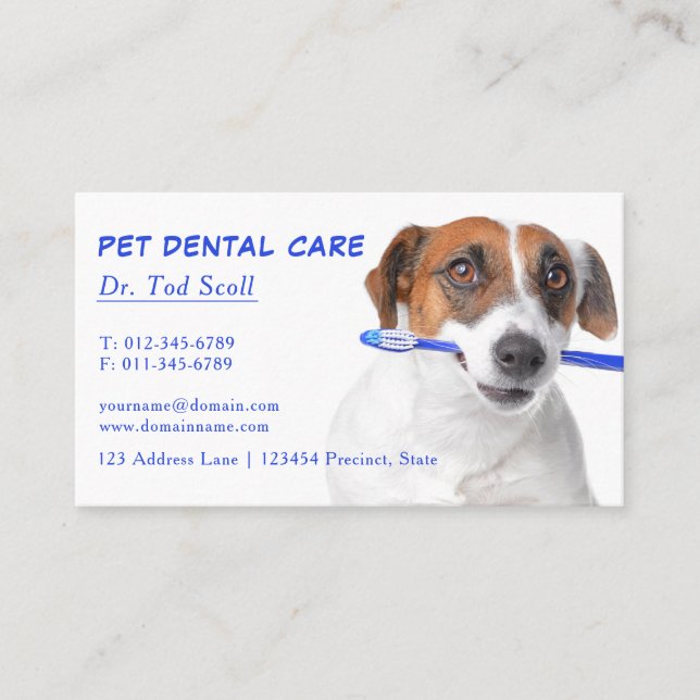 Pet Dental Care Veterinary Dentistry Business Card (Front)