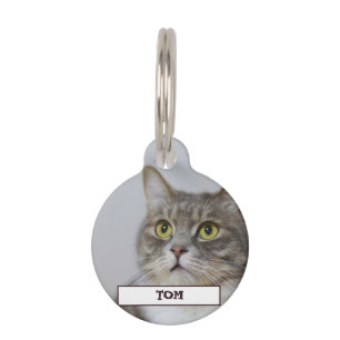 Pet Details and Photo Tag