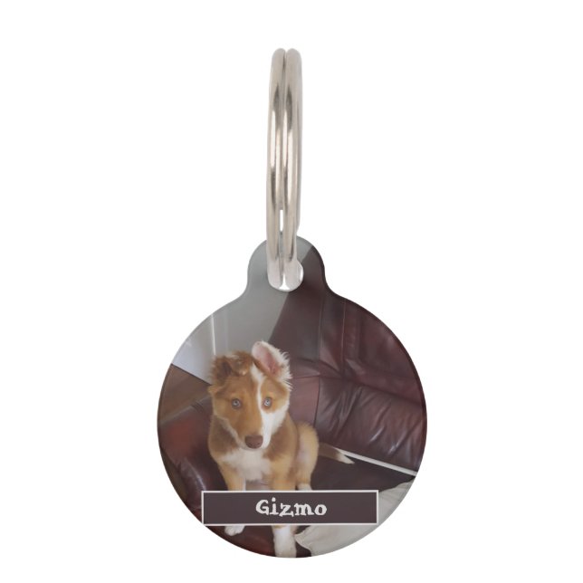 Pet Details and Photo Tag (Front)