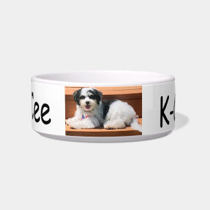 Pet Dish Medium, Dog K-Cee