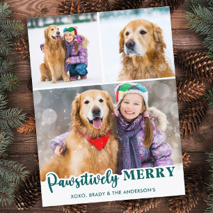 Pet Dog 3 Photos Personalzied Pawsitively Merry Holiday Postcard