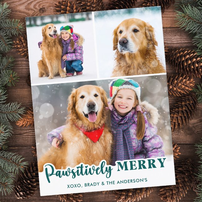 Pet Dog 3 Photos Personalzied Pawsitively Merry Holiday Postcard (Creator Uploaded)