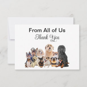 Pet Dog Adoption Rescue Thank You Cards