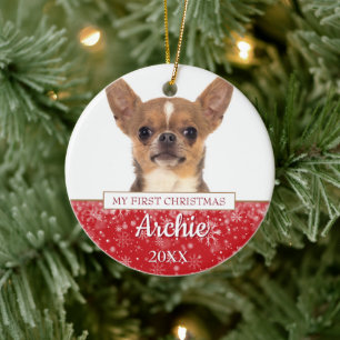 Pet Dog Cat 2 Photo First Christmas Ceramic Ornament