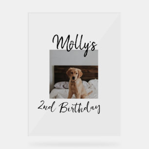 Pet dog cat animal birthday photo modern simple  acrylic sign