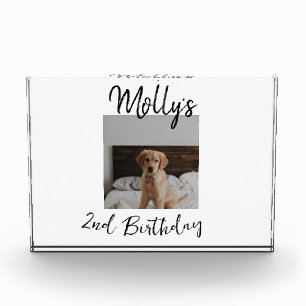 Pet dog cat animal birthday photo modern simple block