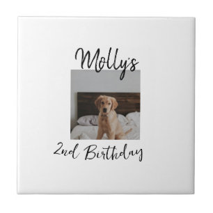 Pet dog cat animal birthday photo modern simple ceramic tile