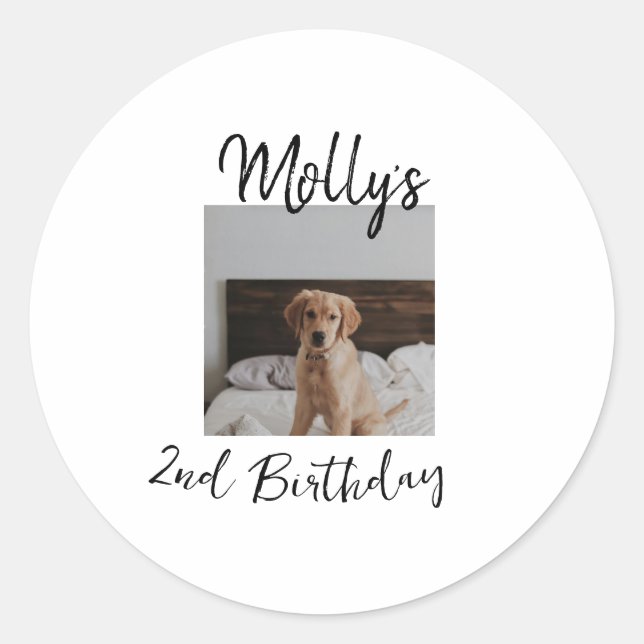 Pet dog cat animal birthday photo modern simple  classic round sticker (Front)