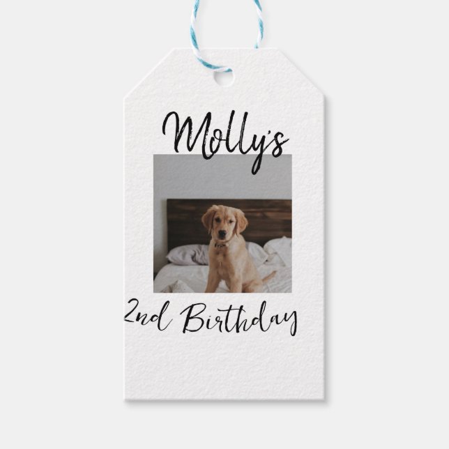 Pet dog cat animal birthday photo modern simple  gift tags (Front)