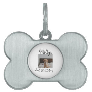 Pet dog cat animal birthday photo modern simple  ID tag
